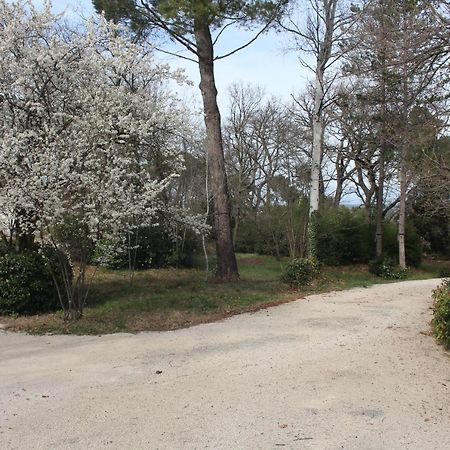 Ermitage Notre Dame De Vacquieres Bed & Breakfast Noves Bagian luar foto